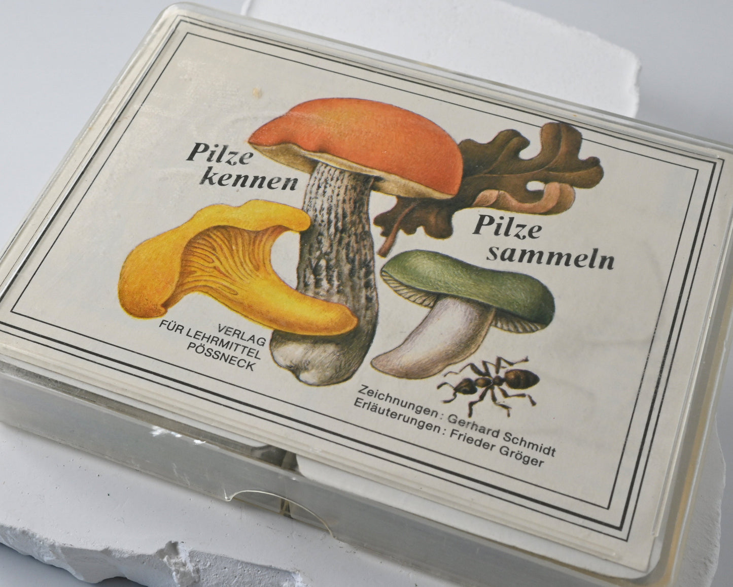 Kartenspiel DDR, Altenburger Spielkartenfabrik, Pilze kennen - Pilze sammeln, Lernspiel, Einzelstück, 1980er Jahre