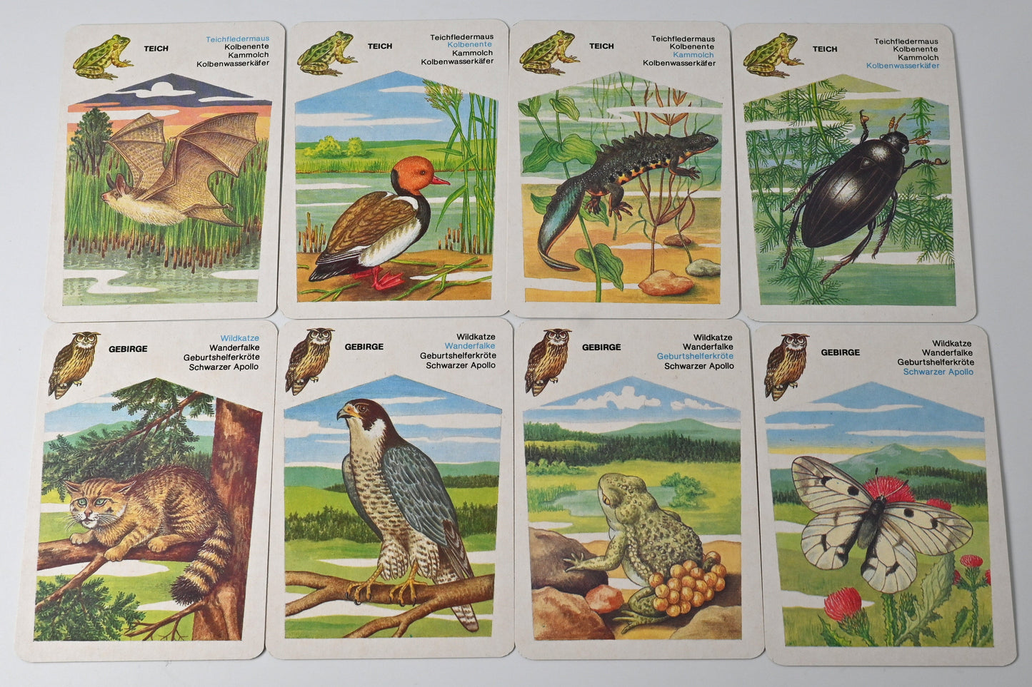 Quartettspiel – Geschützte Tiere, Altenburger Spielkarten DDR, Einzelstück – 1980er Jahre