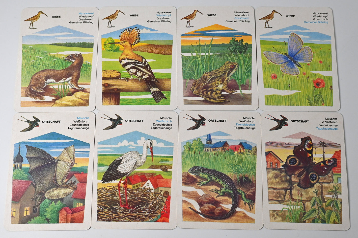 Quartettspiel – Geschützte Tiere, Altenburger Spielkarten DDR, Einzelstück – 1980er Jahre