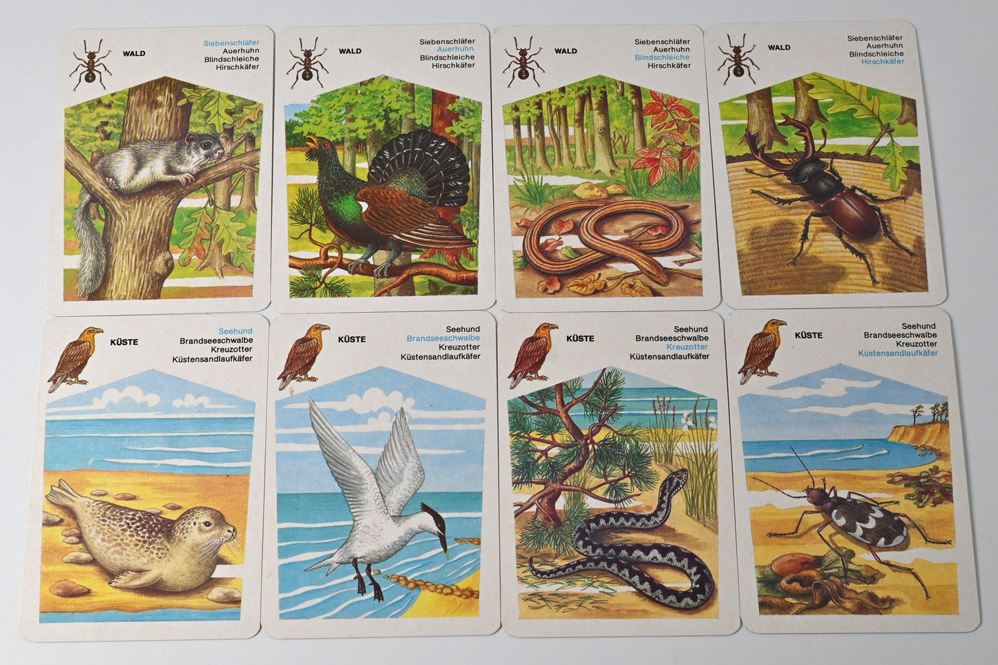 Quartettspiel – Geschützte Tiere, Altenburger Spielkarten DDR, Einzelstück – 1980er Jahre