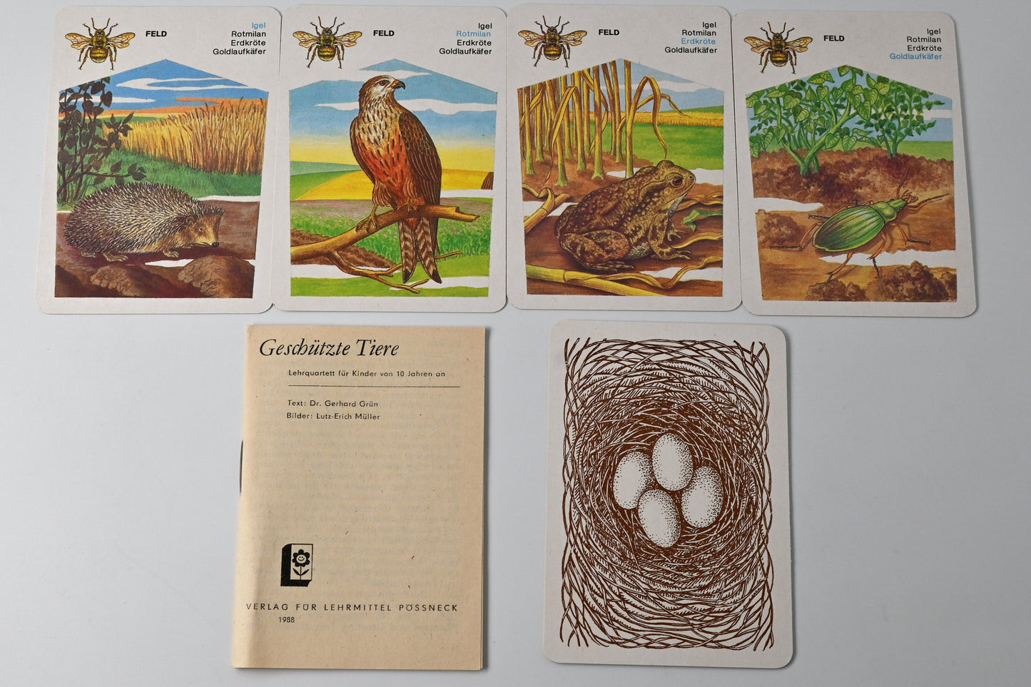 Quartettspiel – Geschützte Tiere, Altenburger Spielkarten DDR, Einzelstück – 1980er Jahre