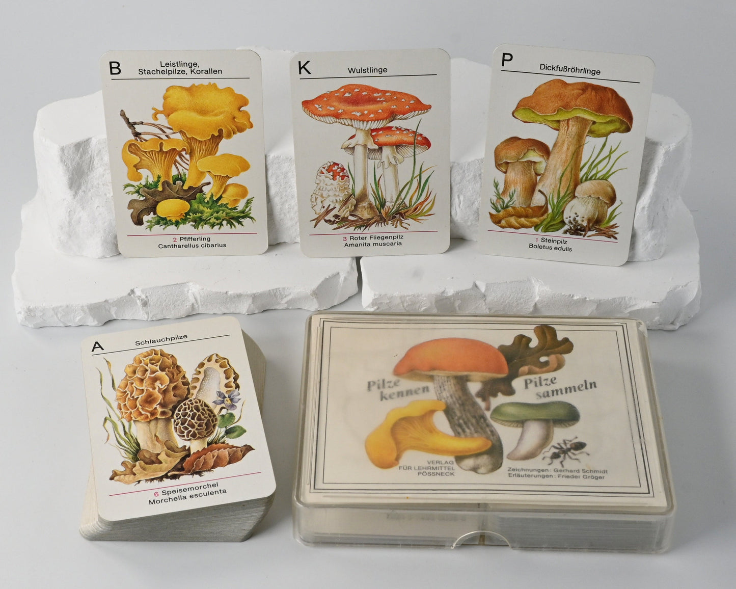 Kartenspiel DDR, Altenburger Spielkartenfabrik, Pilze kennen - Pilze sammeln, Lernspiel, Einzelstück, 1980er Jahre