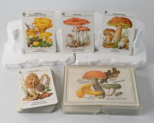 Kartenspiel DDR, Altenburger Spielkartenfabrik, Pilze kennen - Pilze sammeln, Lernspiel, Einzelstück, 1980er Jahre