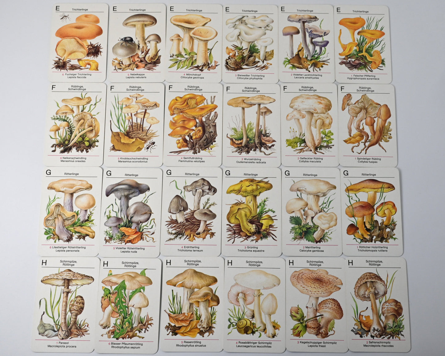 Kartenspiel DDR, Altenburger Spielkartenfabrik, Pilze kennen - Pilze sammeln, Lernspiel, Einzelstück, 1980er Jahre
