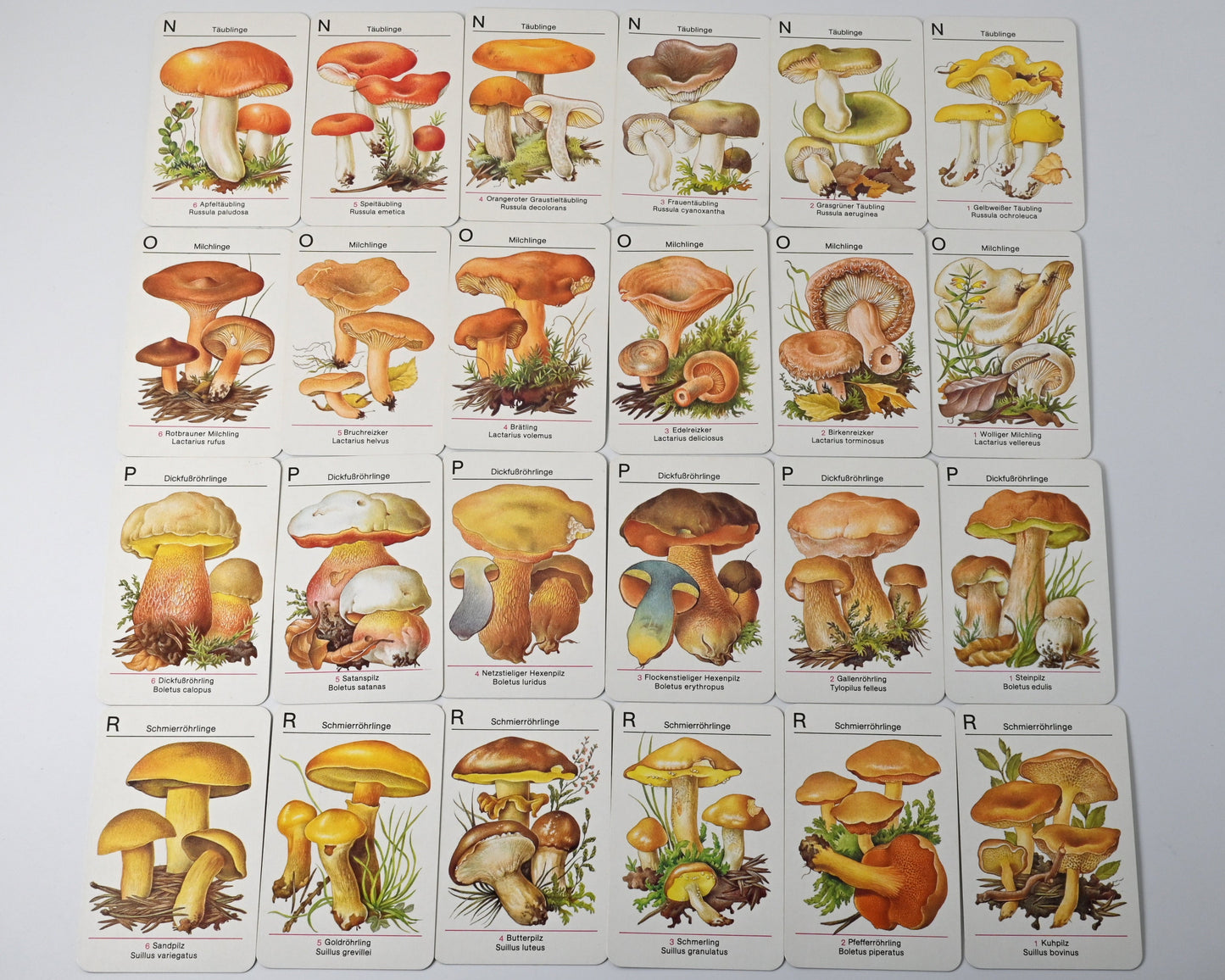 Kartenspiel DDR, Altenburger Spielkartenfabrik, Pilze kennen - Pilze sammeln, Lernspiel, Einzelstück, 1980er Jahre