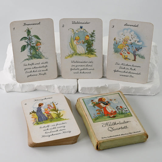 Quartettspiel – Heilkräuter-Quartett, Spielkartenfabrik Altenburg, Illustration Liesel Lauterborn, Einzelstück – 1950er Jahre