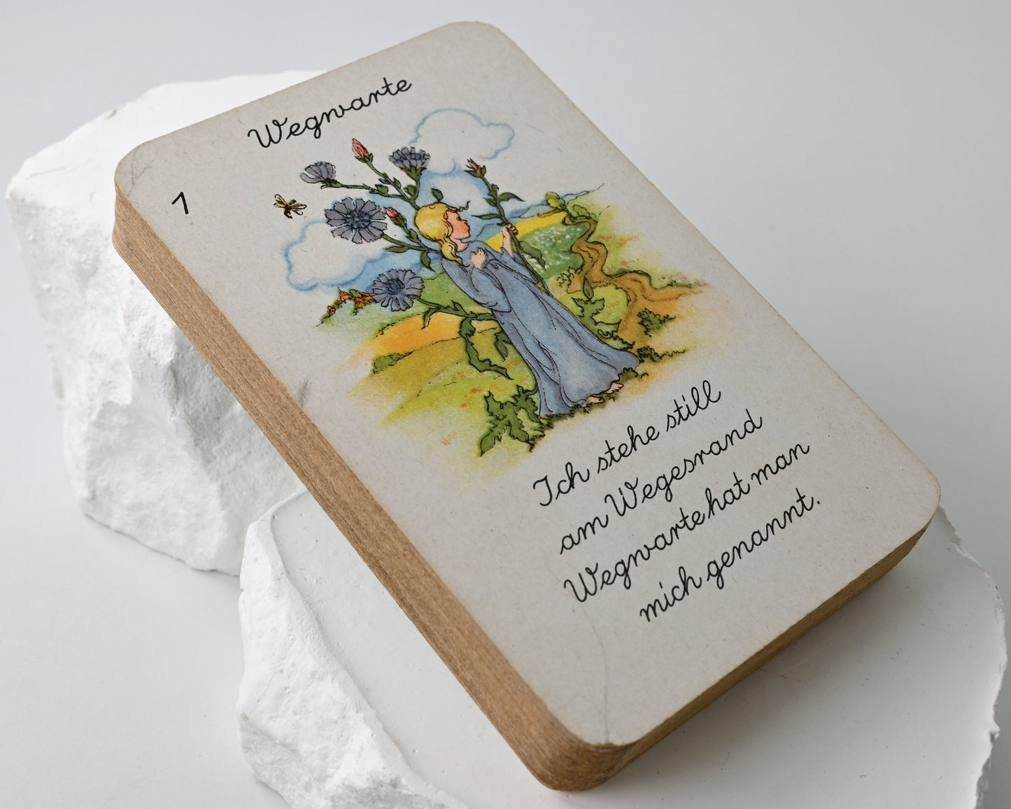 Quartettspiel – Heilkräuter-Quartett, Spielkartenfabrik Altenburg, Illustration Liesel Lauterborn, Einzelstück – 1950er Jahre
