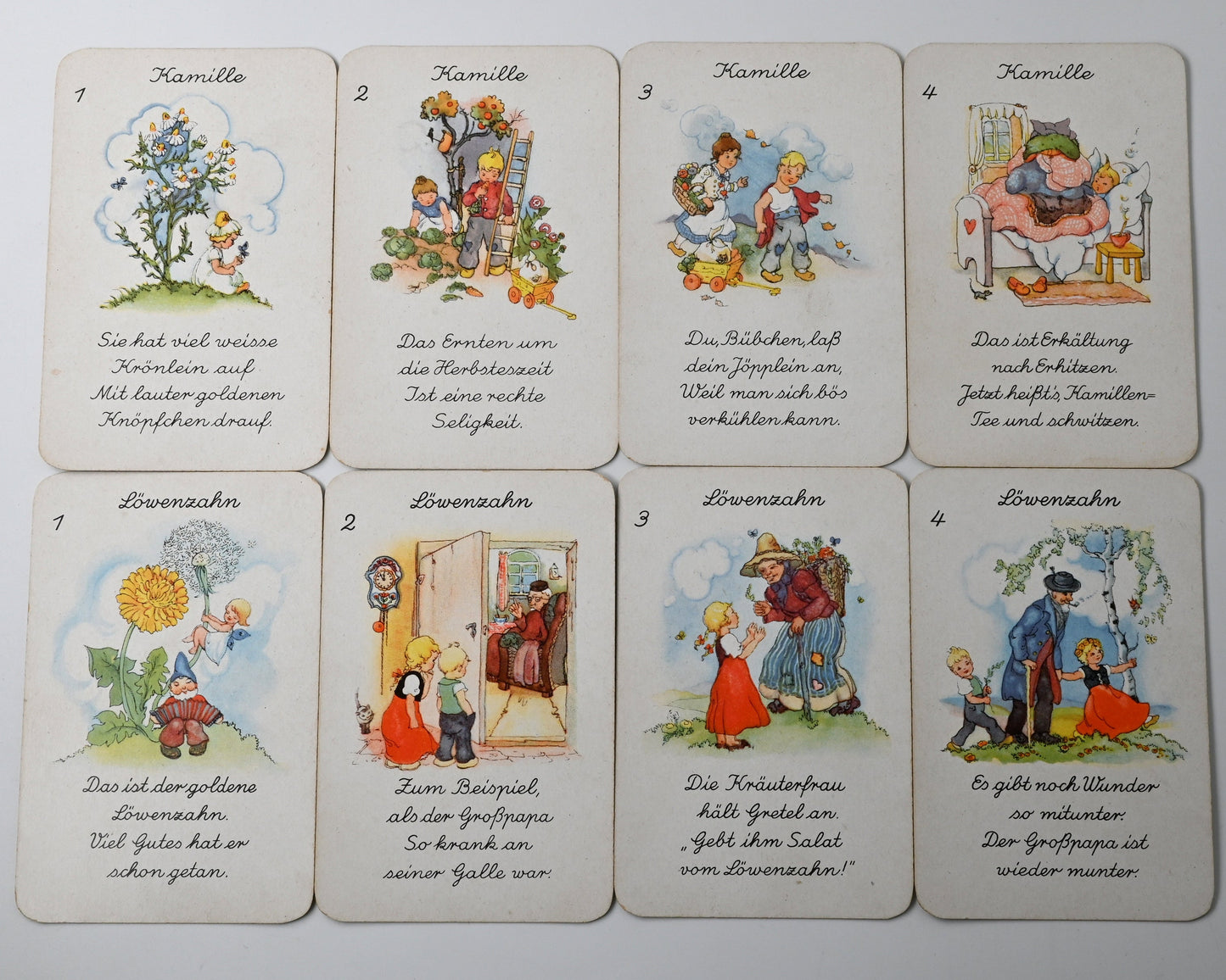 Quartettspiel – Heilkräuter-Quartett, Spielkartenfabrik Altenburg, Illustration Liesel Lauterborn, Einzelstück – 1950er Jahre