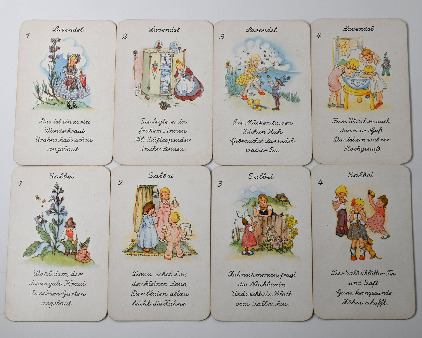 Quartettspiel – Heilkräuter-Quartett, Spielkartenfabrik Altenburg, Illustration Liesel Lauterborn, Einzelstück – 1950er Jahre