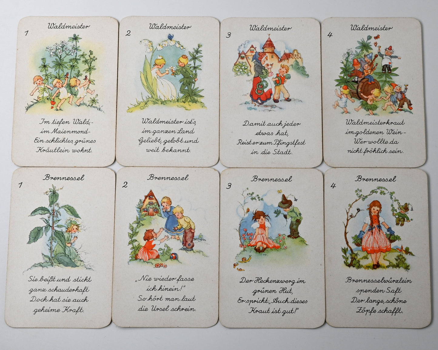 Quartettspiel – Heilkräuter-Quartett, Spielkartenfabrik Altenburg, Illustration Liesel Lauterborn, Einzelstück – 1950er Jahre