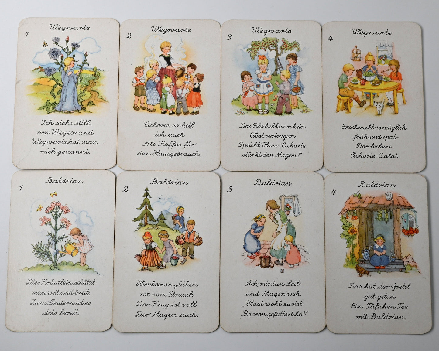 Quartettspiel – Heilkräuter-Quartett, Spielkartenfabrik Altenburg, Illustration Liesel Lauterborn, Einzelstück – 1950er Jahre
