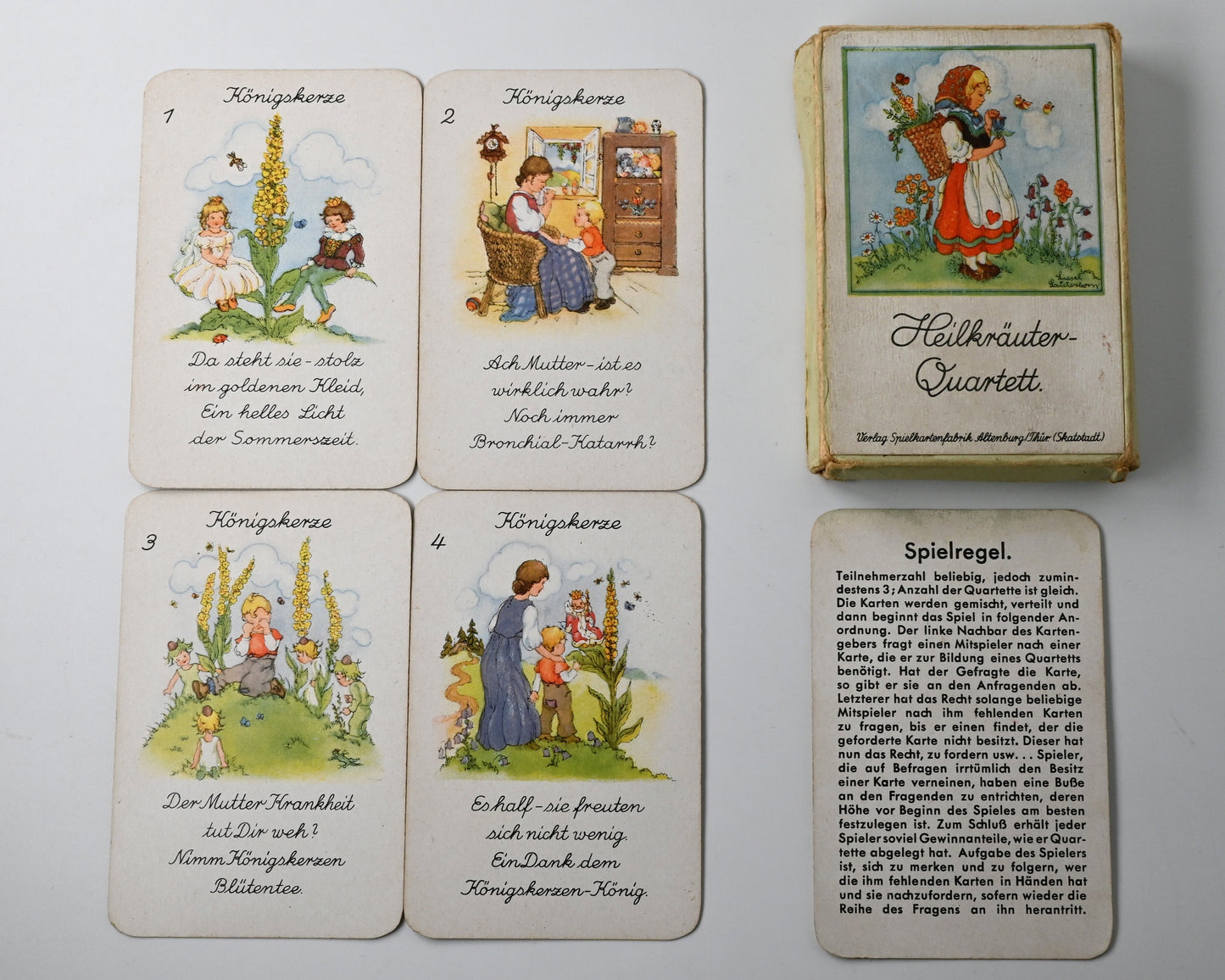 Quartettspiel – Heilkräuter-Quartett, Spielkartenfabrik Altenburg, Illustration Liesel Lauterborn, Einzelstück – 1950er Jahre